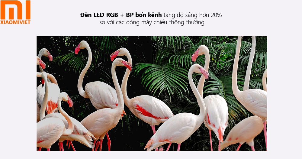 Đèn LED RGB + BP bốn kênh tăng độ sáng hơn 20%